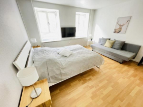 aday - Central Studio Apartment in Aalborg 